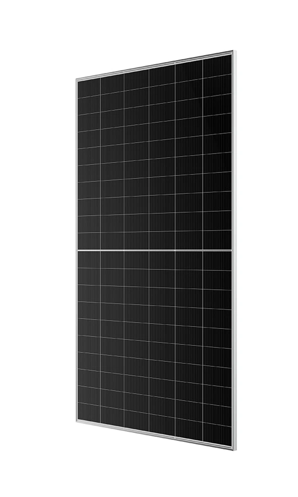 Bifacial detalle 2